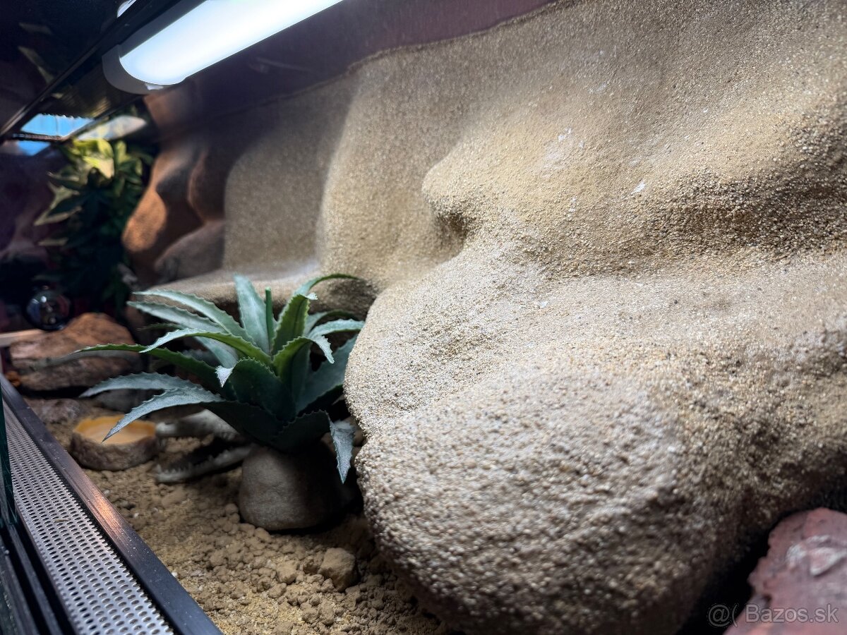 Kompletne vybavene terarium - 2