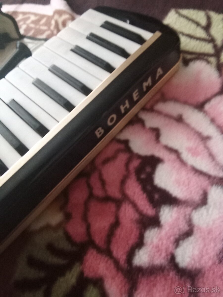 fukacia harmonika bohema - 2