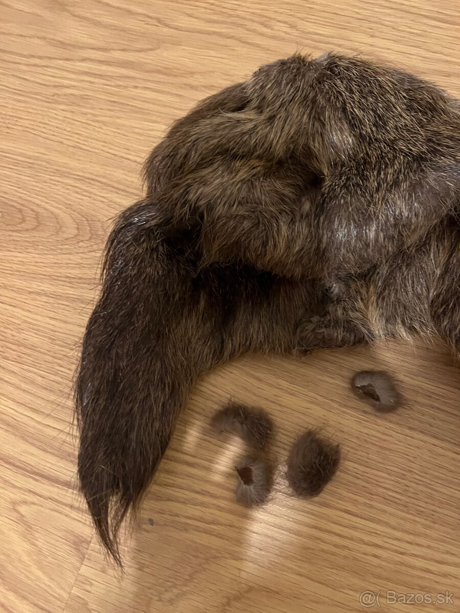 Baranica kožušina kožušinova ciapka práva kožušina líška asi - 2