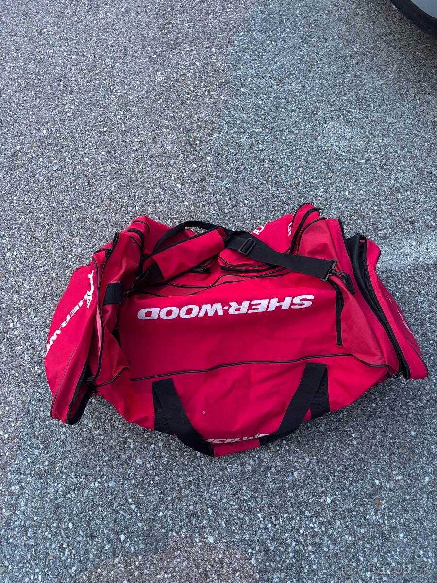 Hokejová výstroj - 2