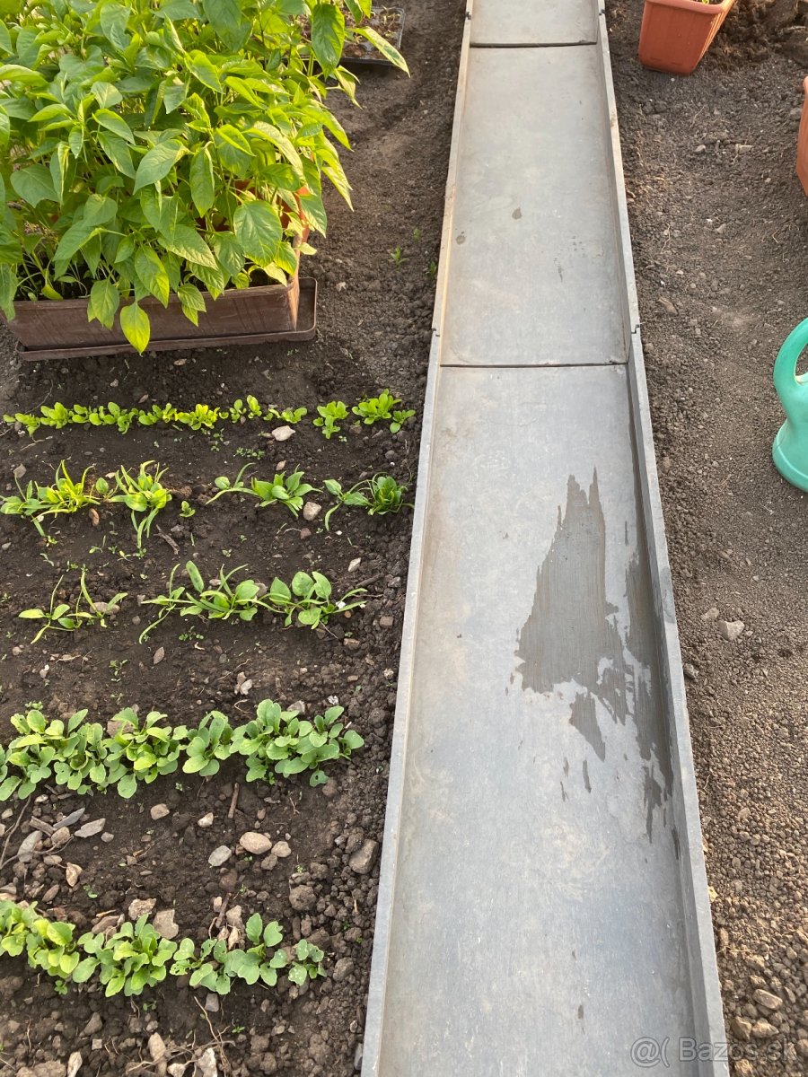 Chodnik do sklenika - 2