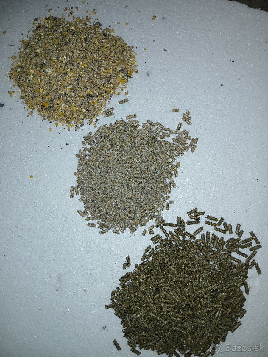 Krmivo pre králiky - 2