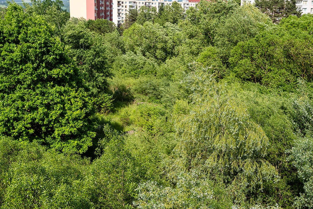POZEMKY S INVESTIČNÝM CHARAKTEROM-ZNÍŽENÁ CENA - 2