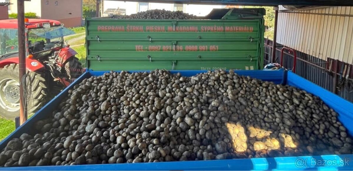 Predám zemiaky - 2