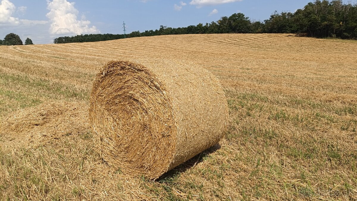 Balíkovaná jačmenná slama - 2