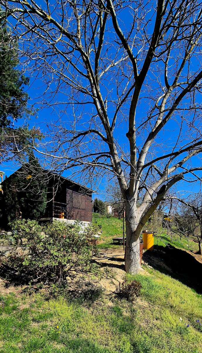 Chatka s pozemkom - 2