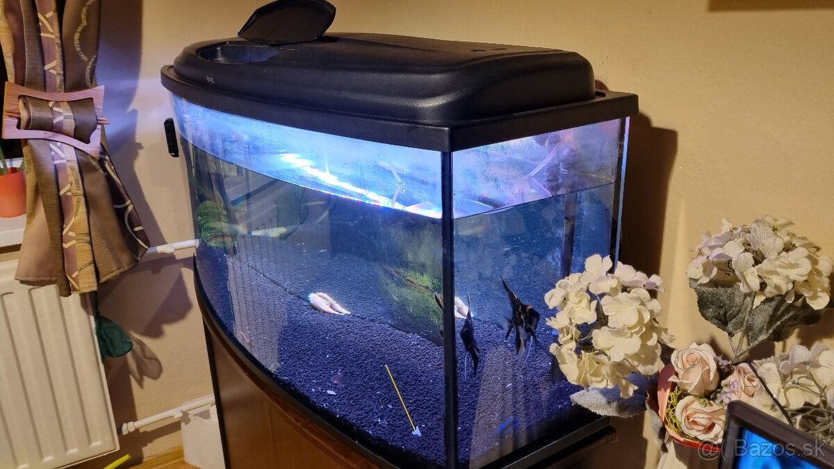 Zaoblené akvárium 240l predaj - 2