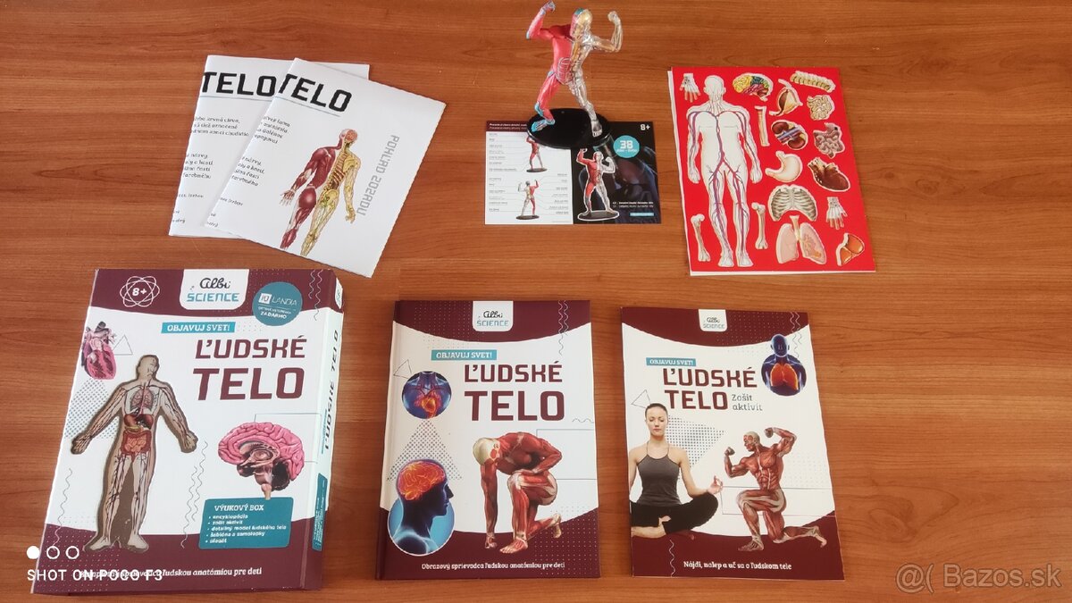 Albi ľudské telo - 2