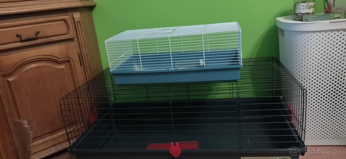 Klietky mórske prasiatko zajac - 2