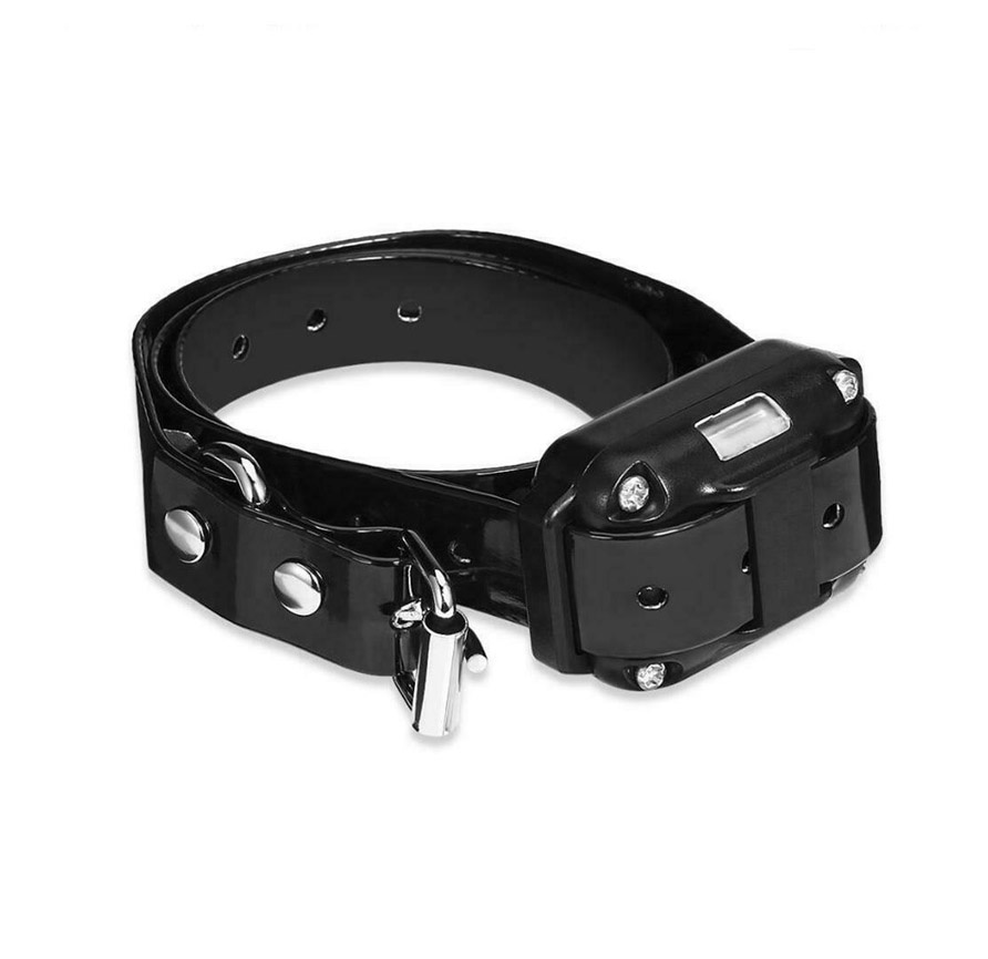 Elektrický obojok pre psa Patpet 776 s dosahom 800m - 2