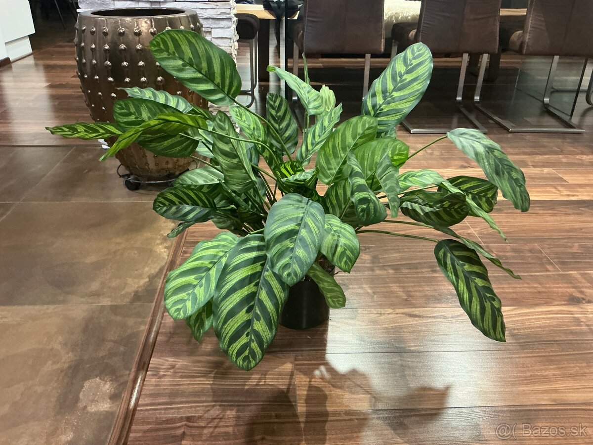 Umelá rastlina calathea green - 2