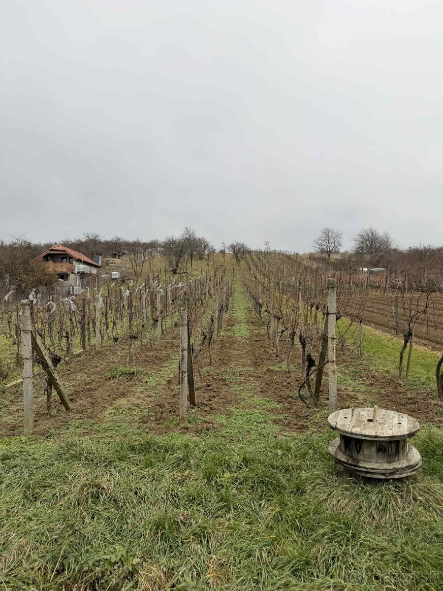 Pozemok v Prietržke - 2