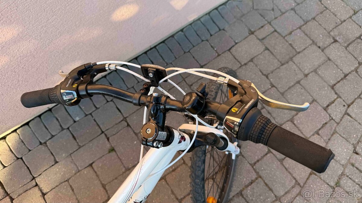 Scott Junior 24" - 2
