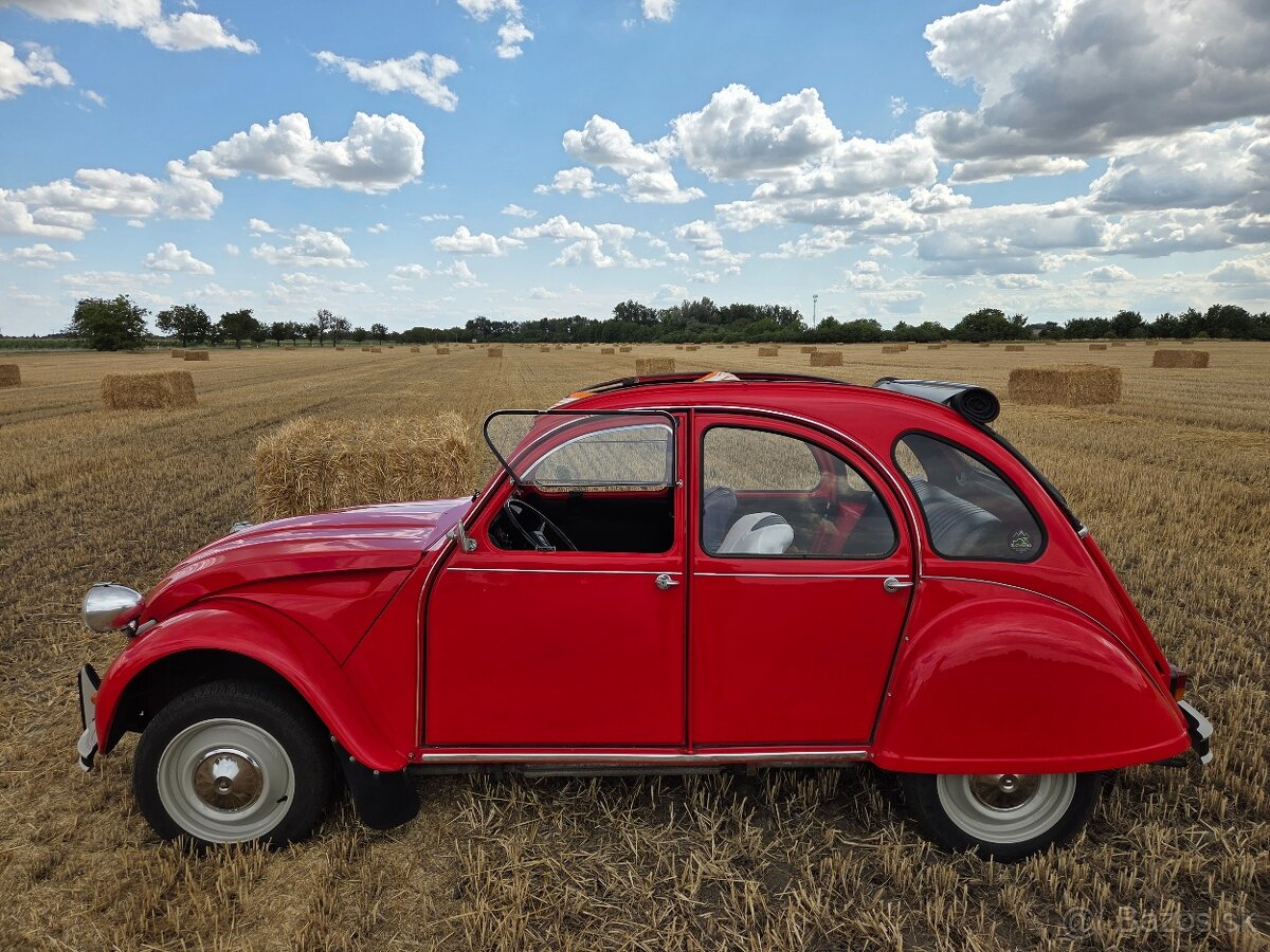Citroen 2cv - 2