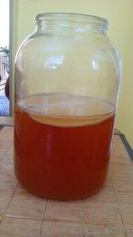 Kombucha - 2