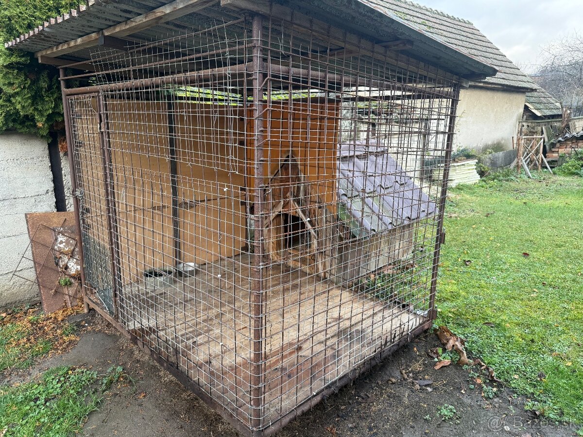 Voliera + búda pre psa - 2