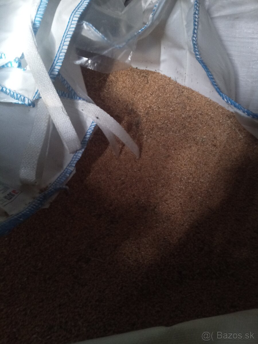 Predám pšenicu - 2