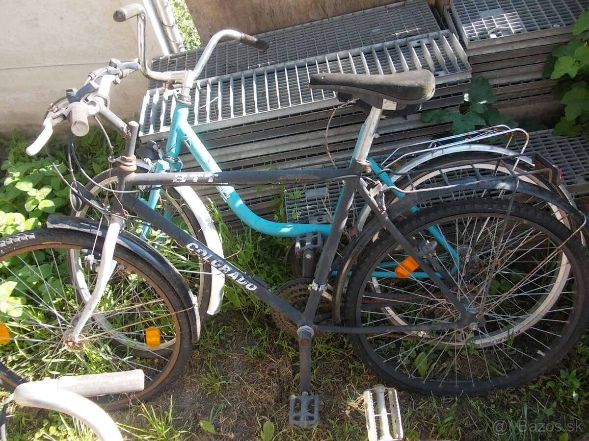 Stary favorit,eska - 2