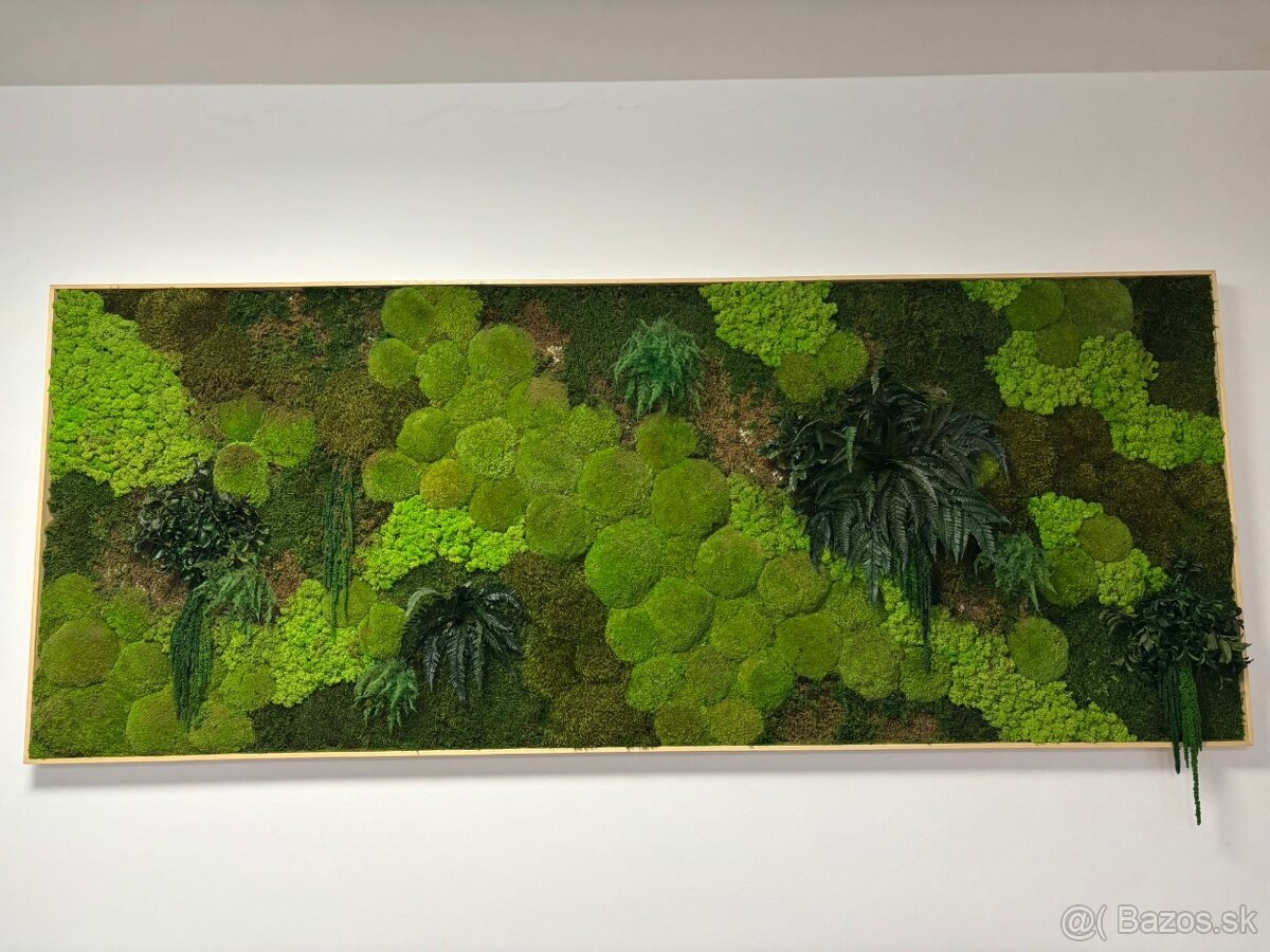 Machový obraz - rastliny - 2