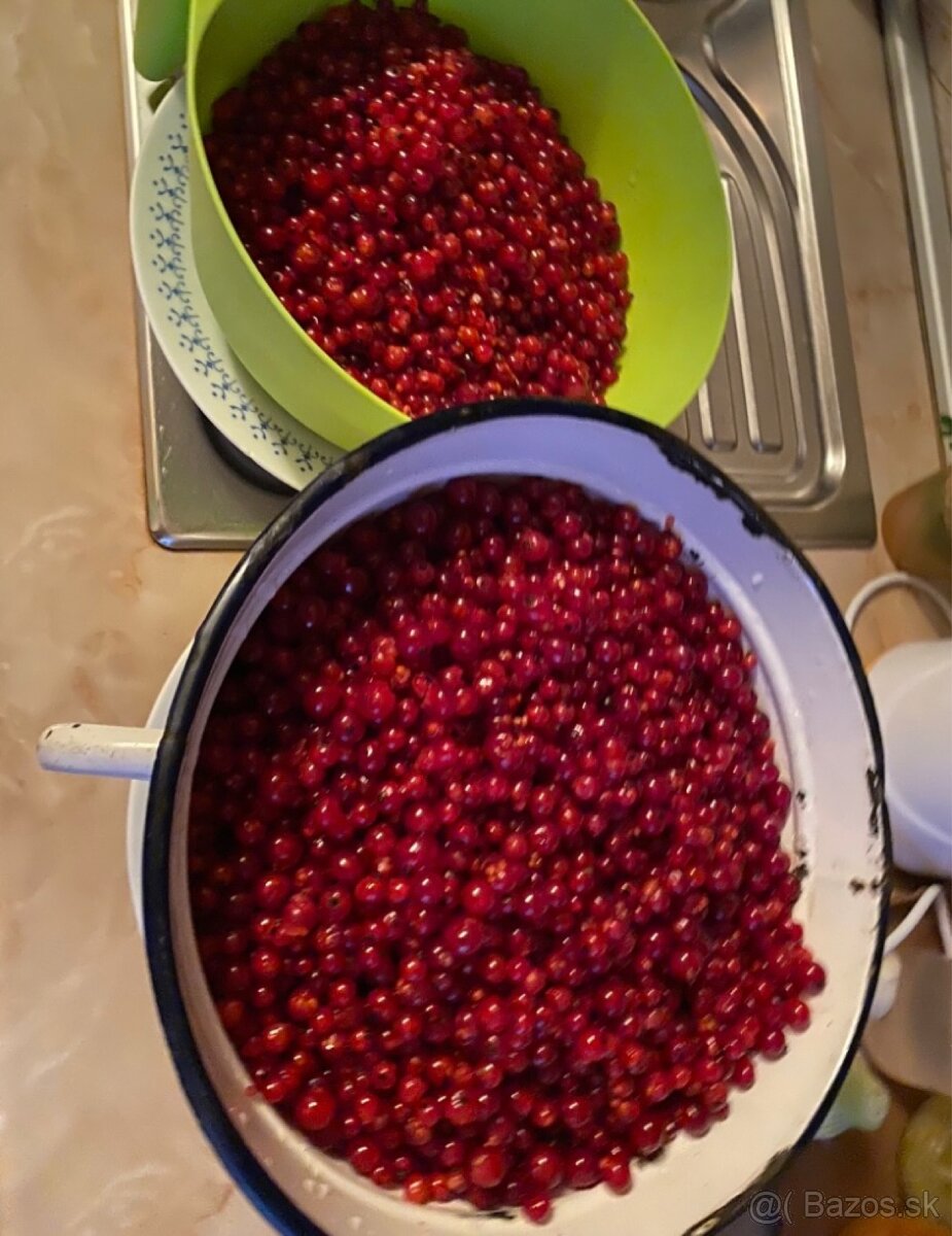 Čierne, červené ríbezle - 2