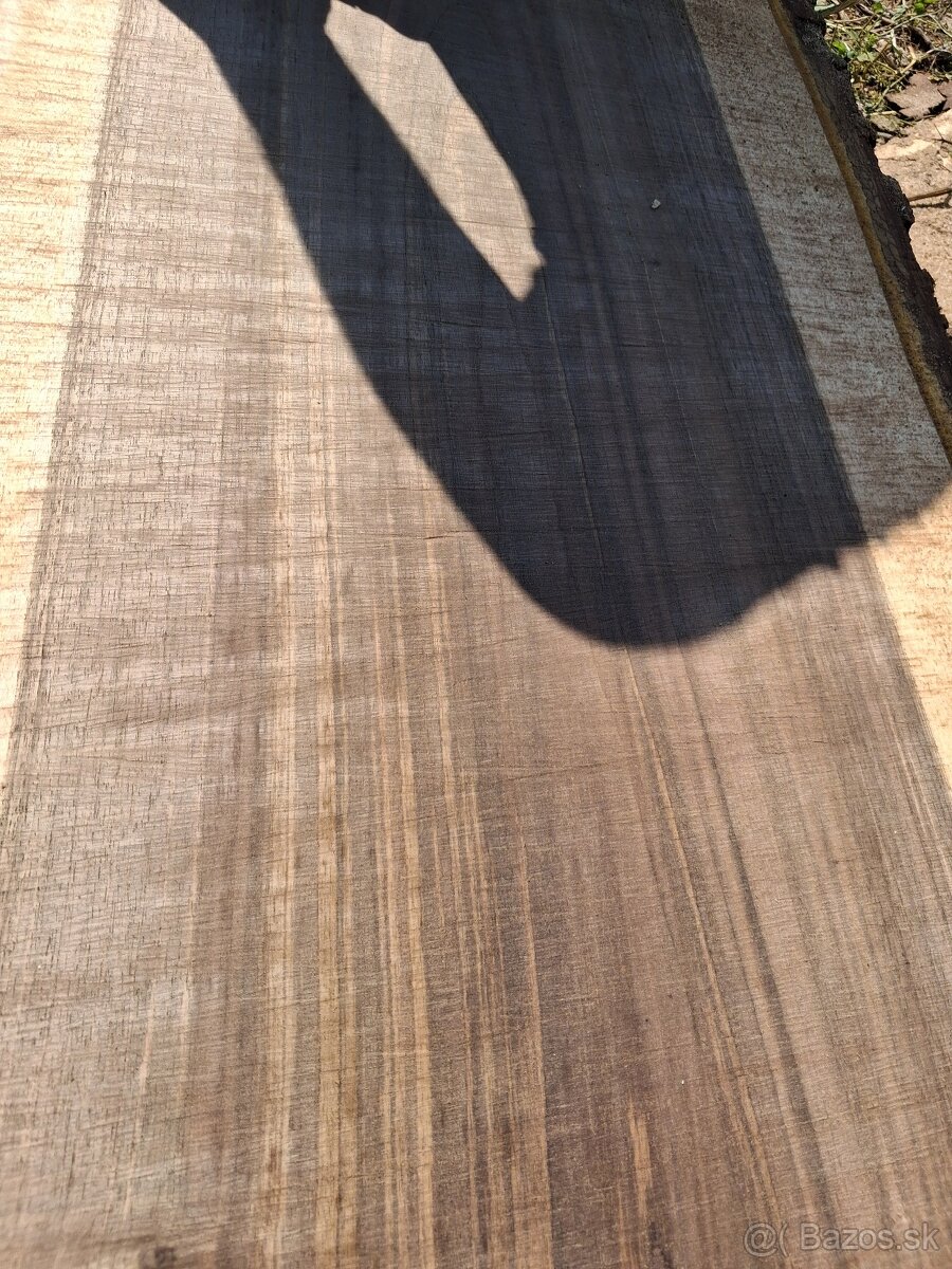 Orechove fosne, dosky - 2