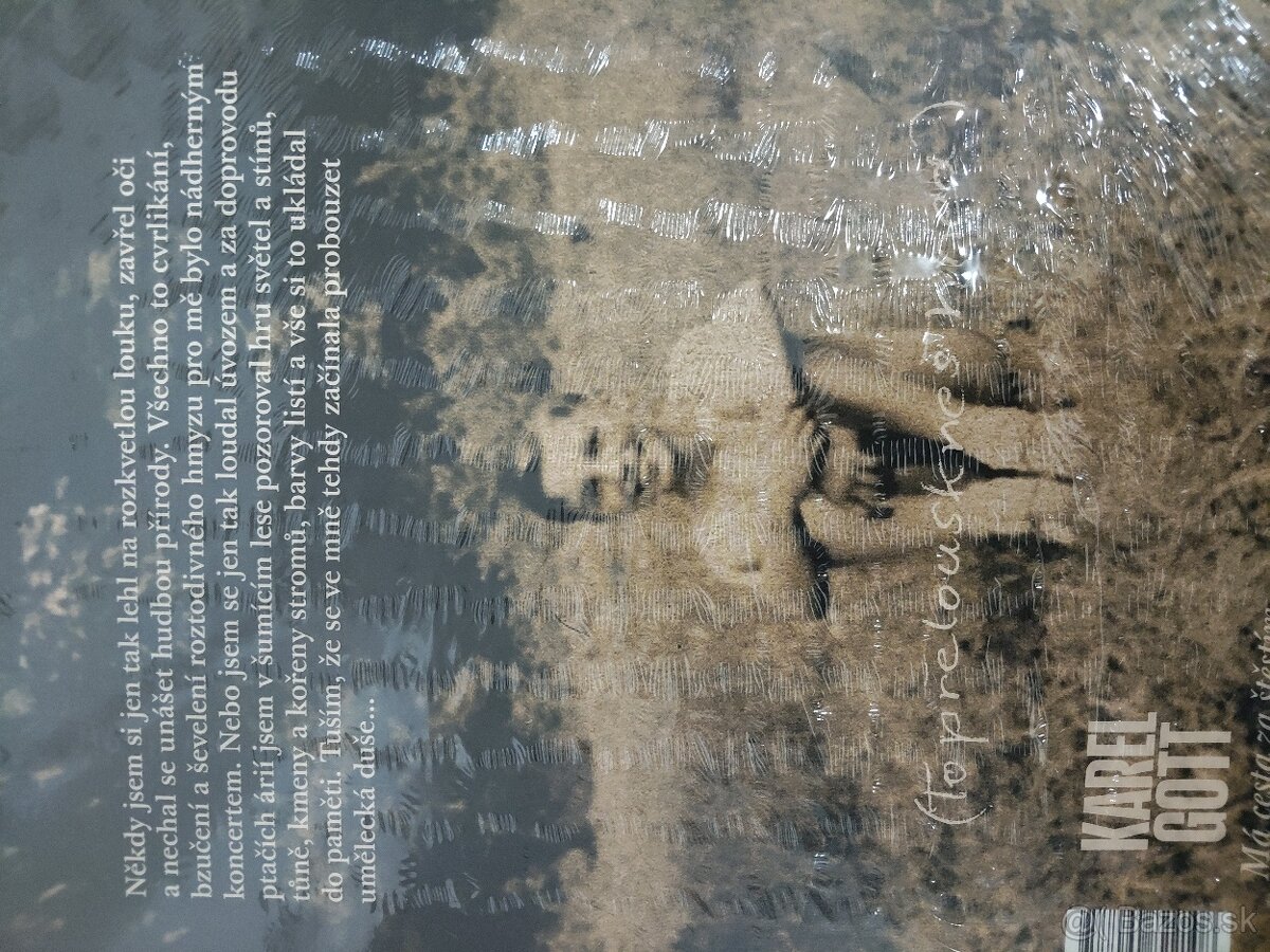 Kniha karel gott - 2