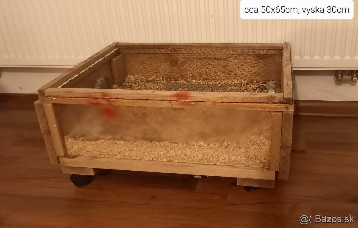 vybeh pre korytnačku - 2