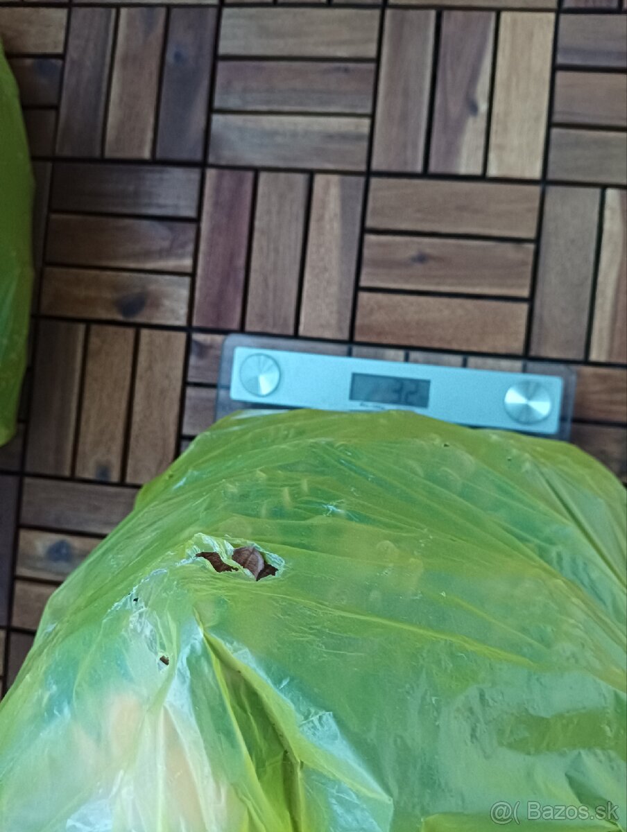 Borovicové šišky - 2