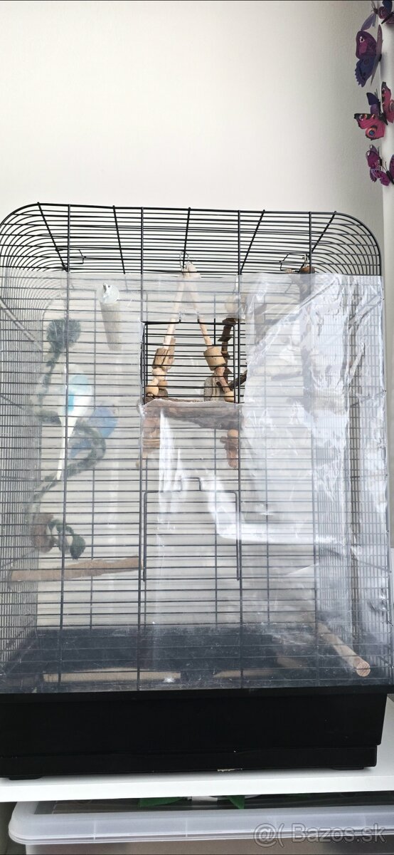 Andulky s klietkou - 2