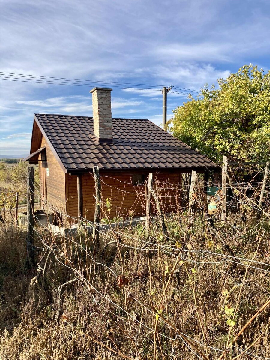 Vinica s chatkou – Hegyfarok, Kamenný Most – predaj/výmena - 2
