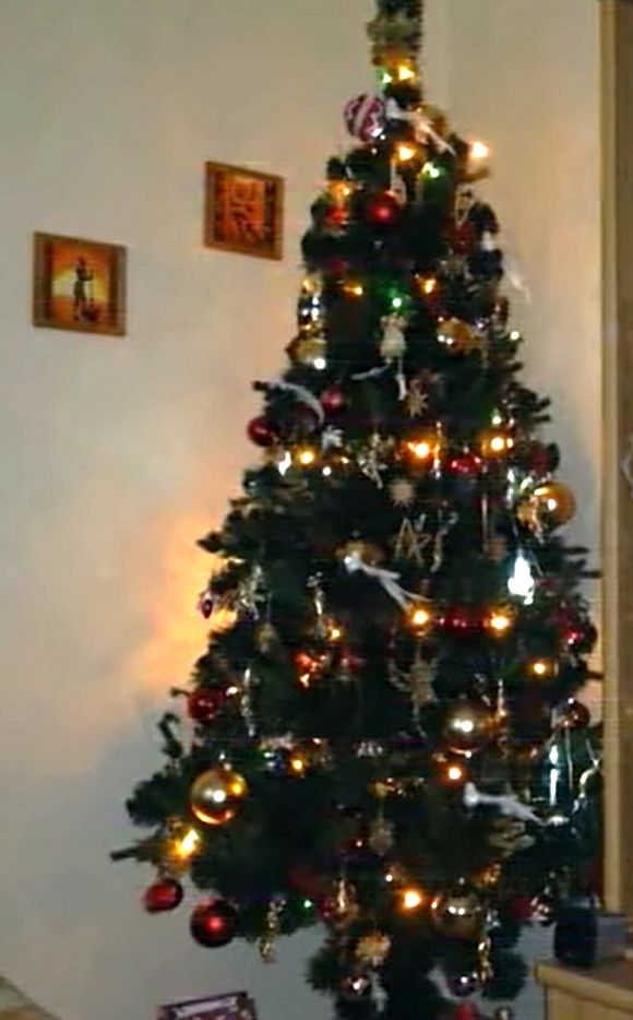 Predám vianočný stromček - 2