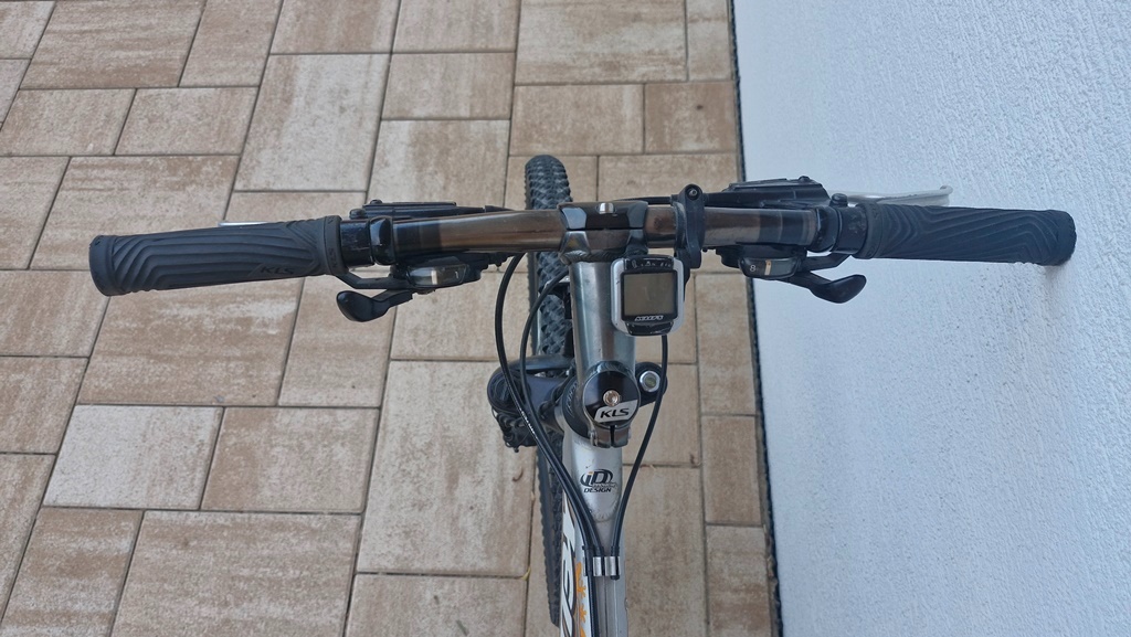 Kellys Salamander - 2