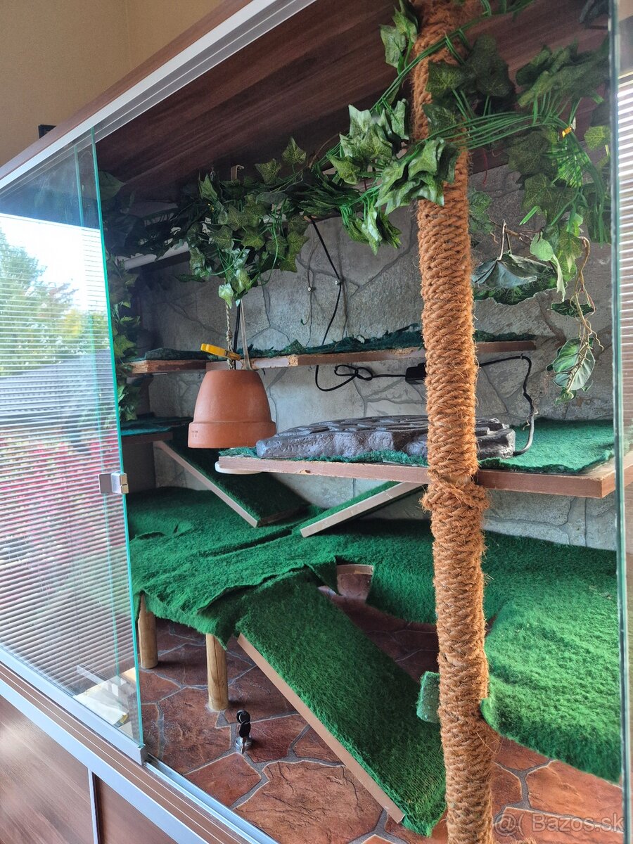 Terarium pre leguana / plazy - 2