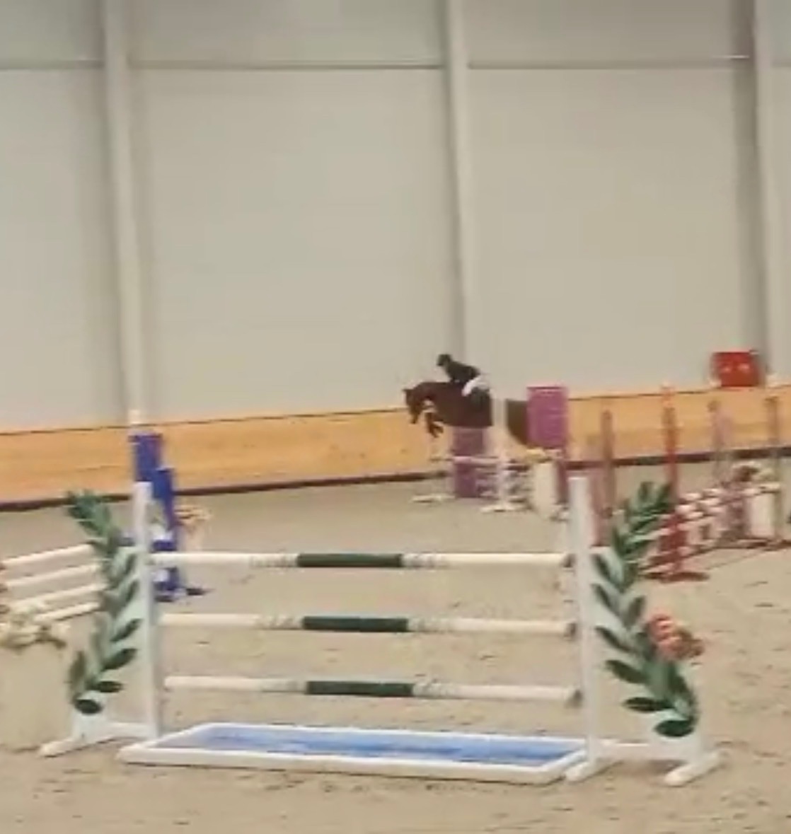 Športový pony - 2
