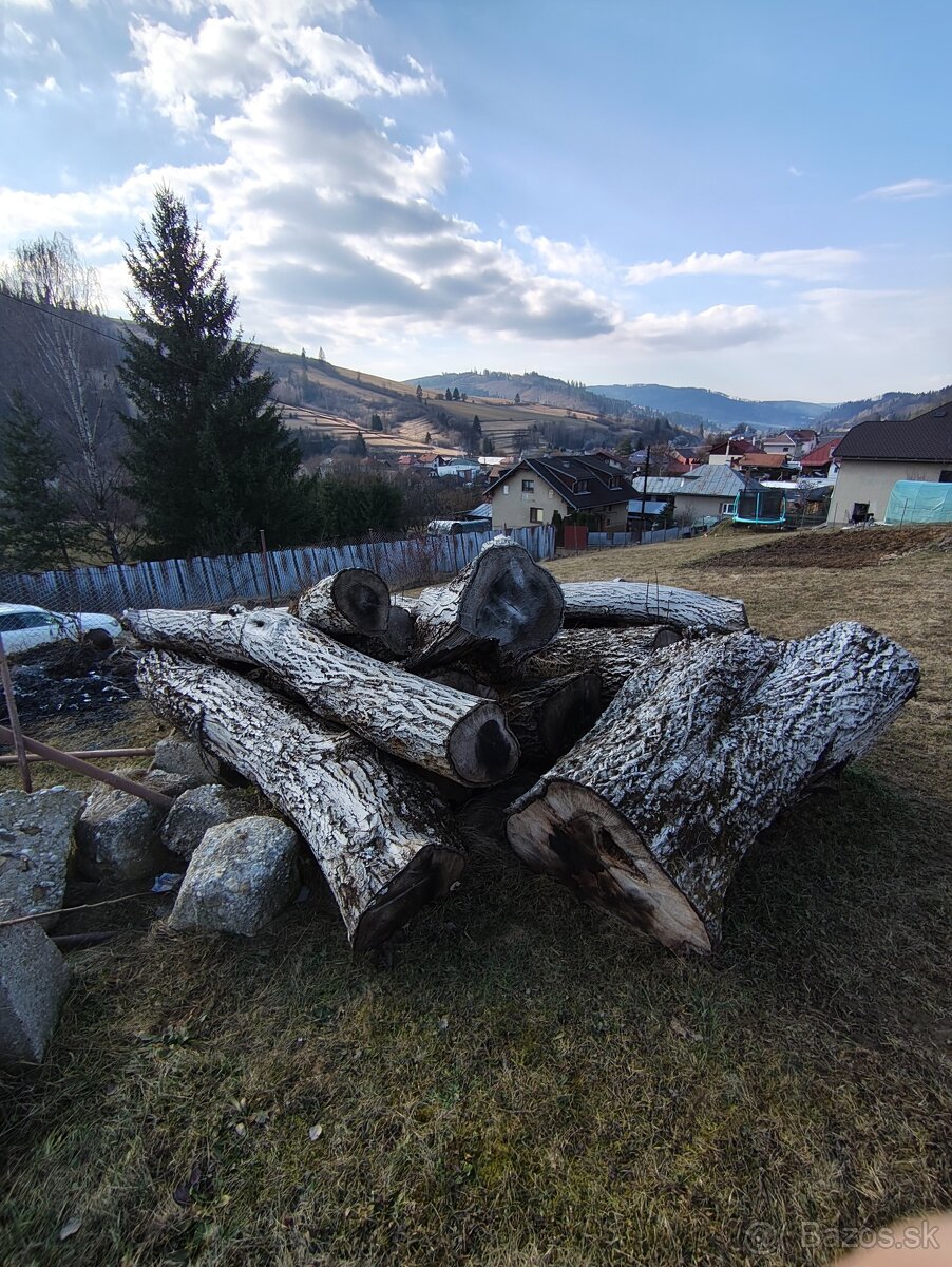 Predám orechové drevo - 2