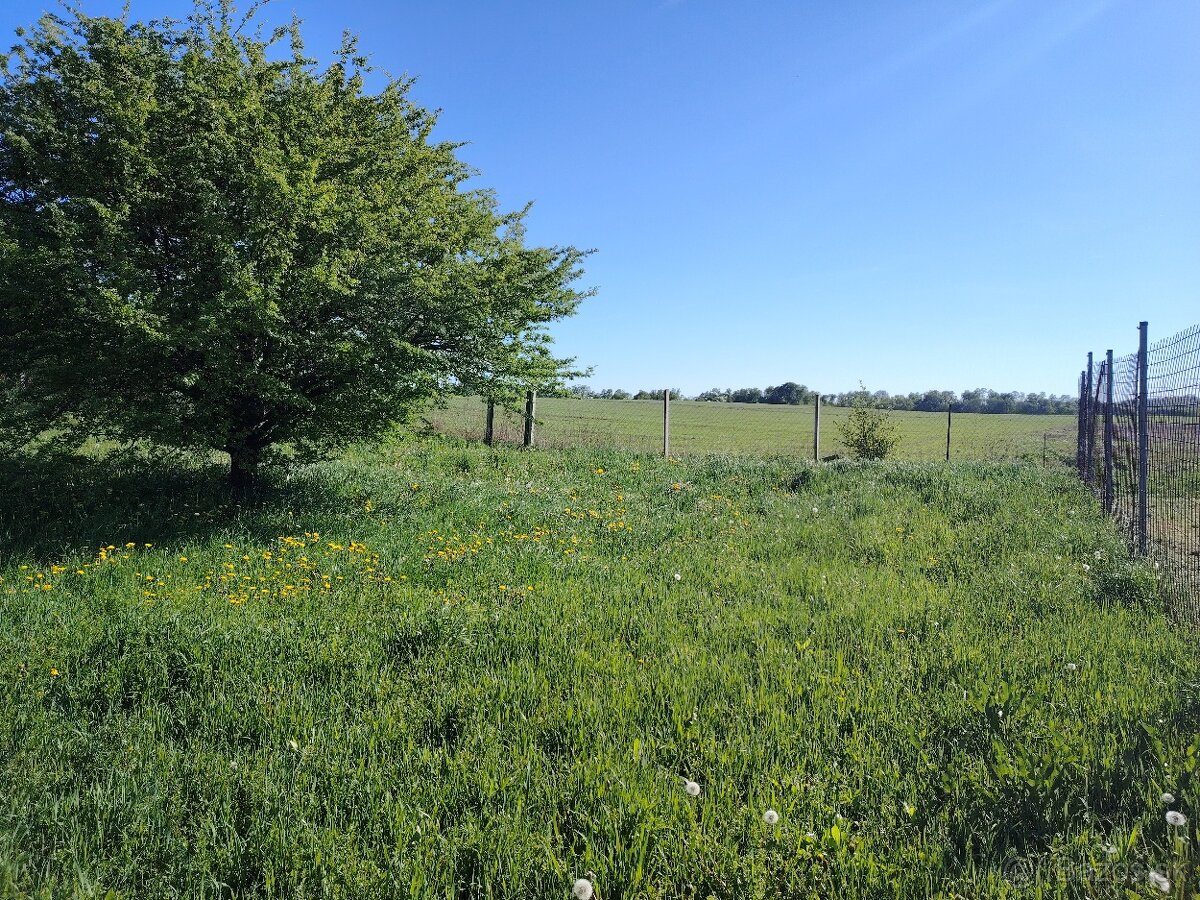 Ponúkam peknú , veľkú , záhradu - 2