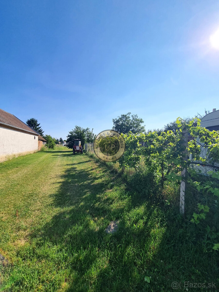 PREDAJ pozemok 6652 m2 Dunasziget - 2