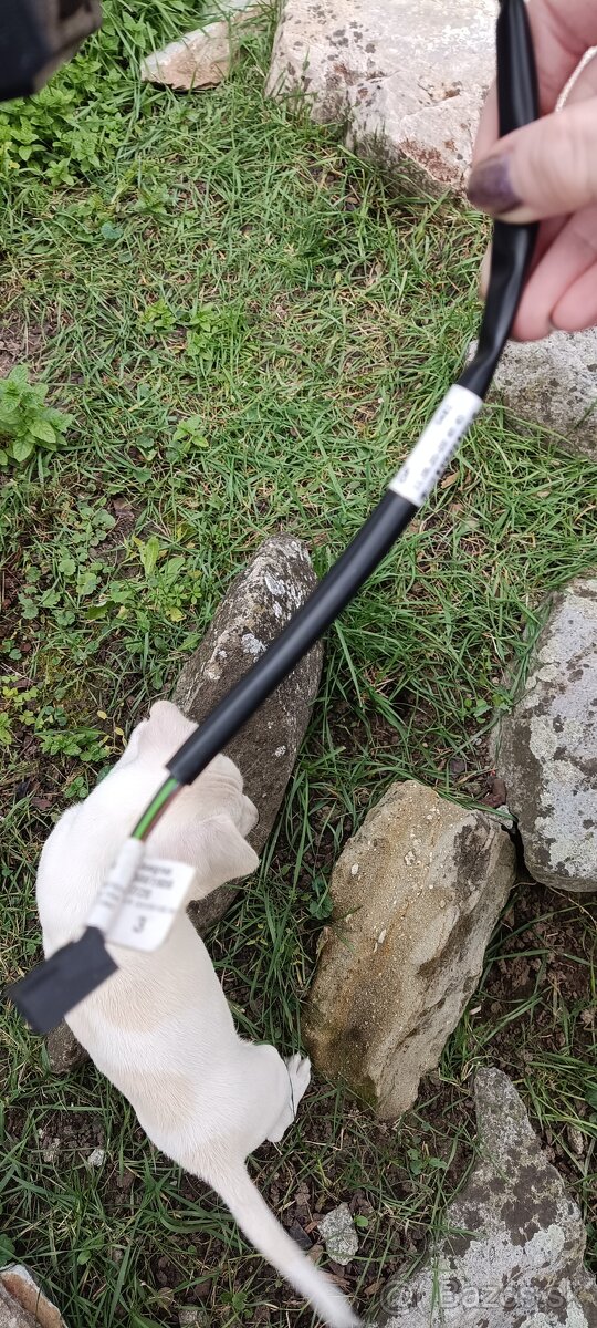 Ľavý speťák na dodávku - 2