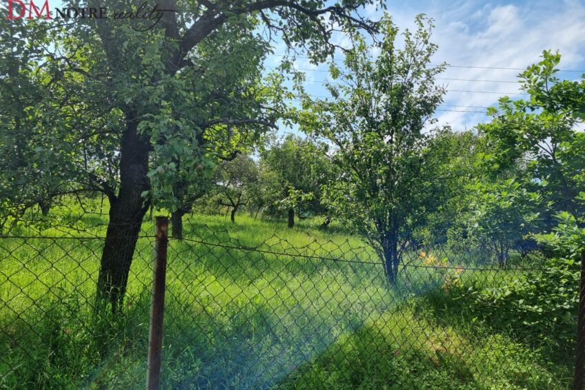 POZEMOK-ZÁHRADA V LUČENCI – ČASŤ VINICA - 2