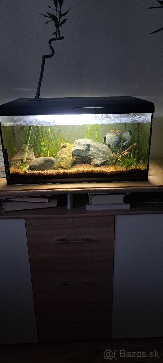 Predavam akvarium 54l - 2