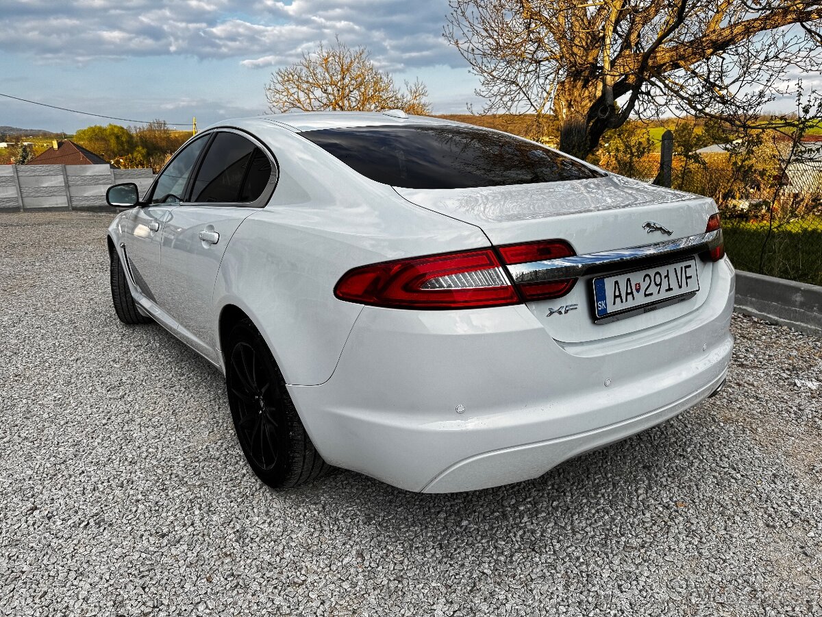 Jaguar - 2