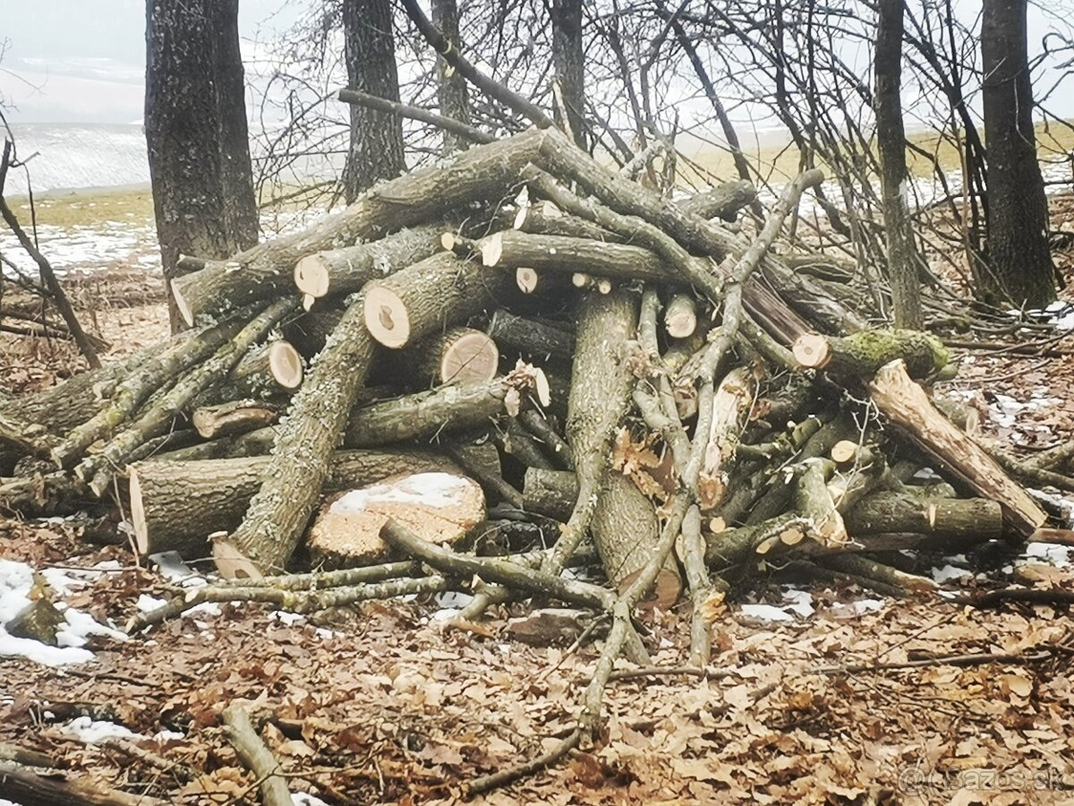 Predám palivové drevo čer buk - 2