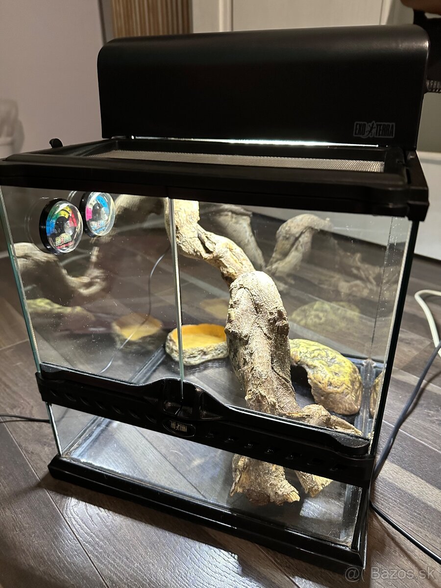 Terárium exo terra - 2
