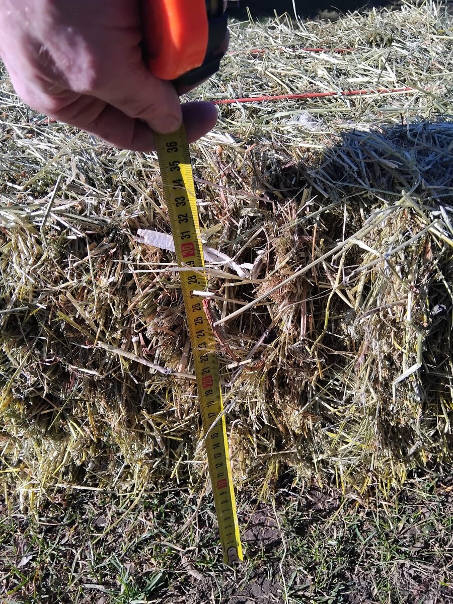 Seno male hranate baliky - 2