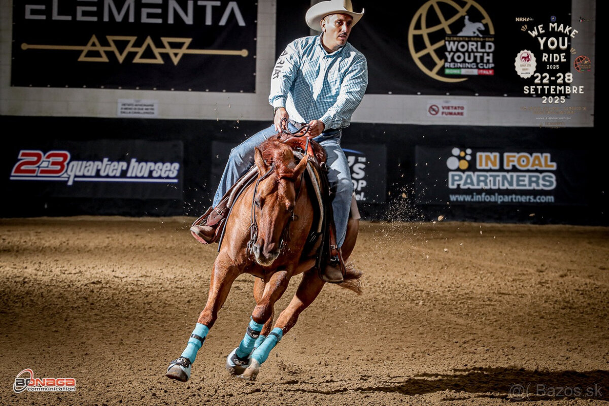 Reining QH valach - 2