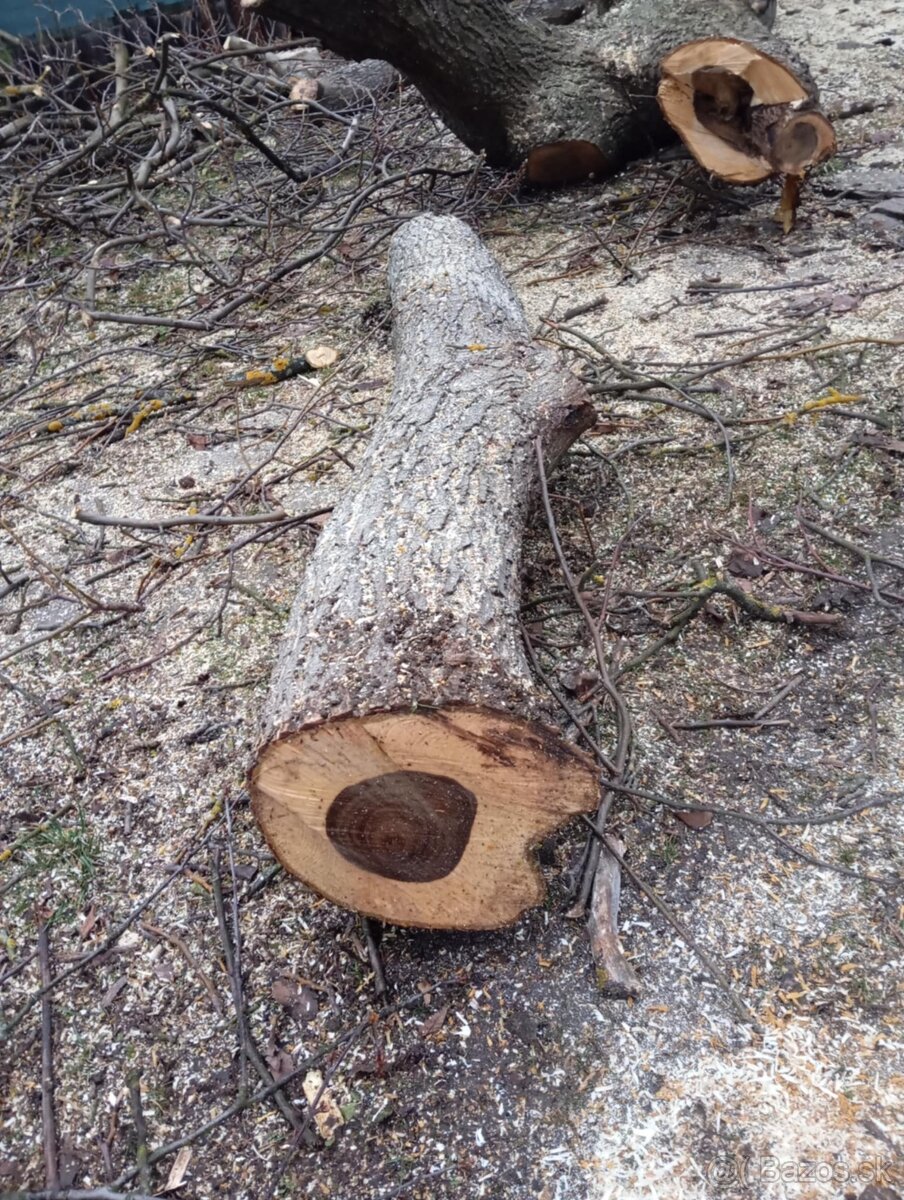 Predám orechové drevo - 2