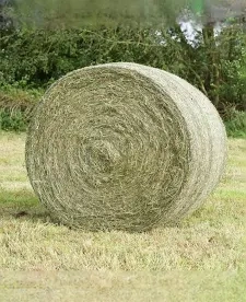Predám balikované seno - 2