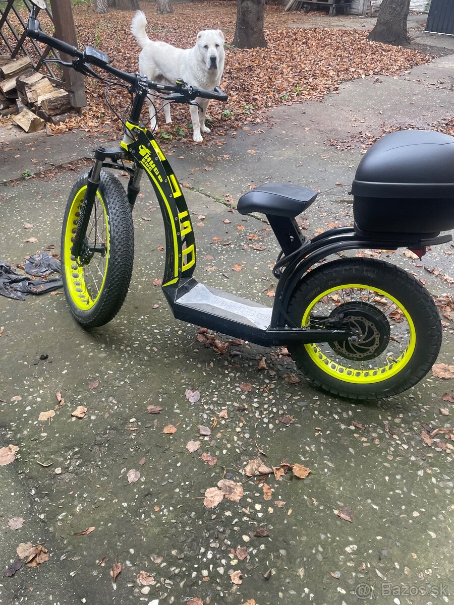 Hugo Bike big one S - 2