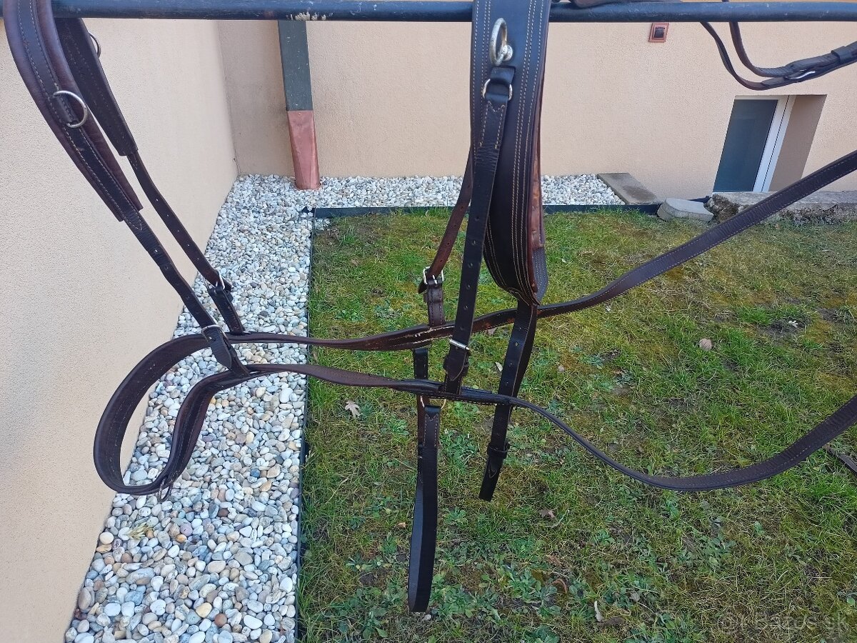 Hnedé kožené poprsne postroje na dva kone - 2