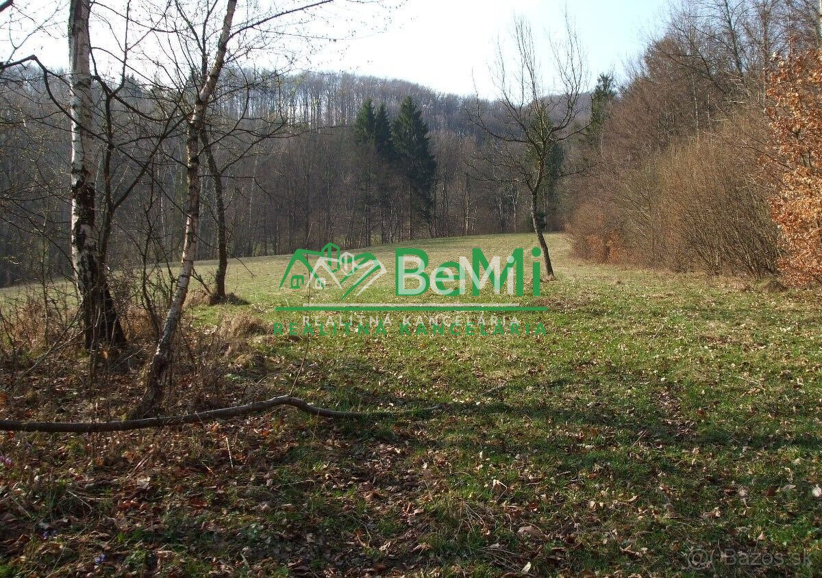 Pozemok v obci Lysica, okres Žilina 48338m2, 075-14-PEMOa - 2